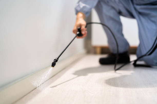 Licensed Termite Control service in Sioux County County, IA - Nex Pest Control