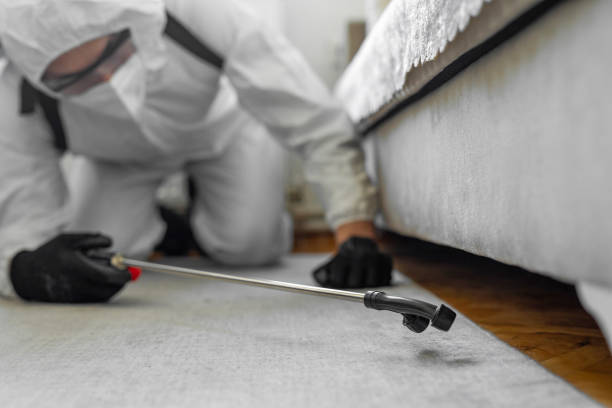Professional Termite Control technician working in Sioux County County, IA